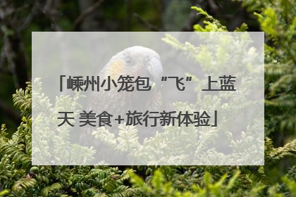 嵊州小笼包“飞”上蓝天 美食+旅行新体验